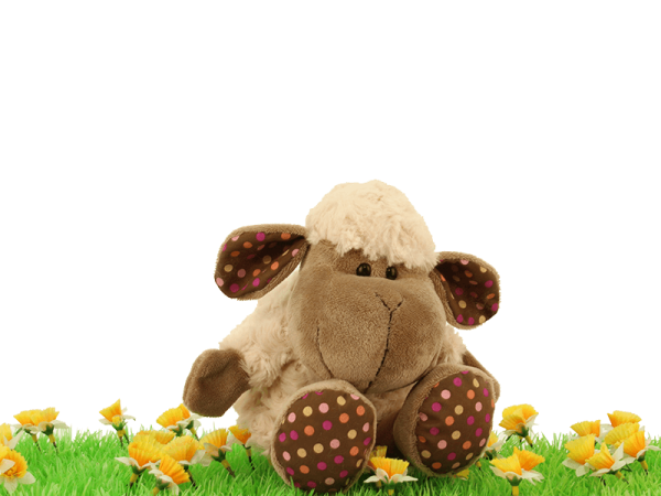 Handpop schaap