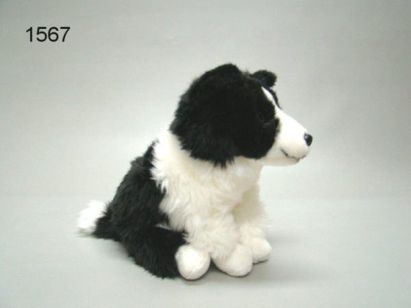 Collie Murph