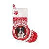 Stocking Border Collie